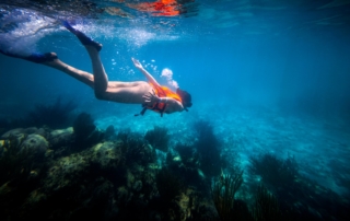 A woman diving underwater and taking part in Puerto Vallarta snorkeling.
