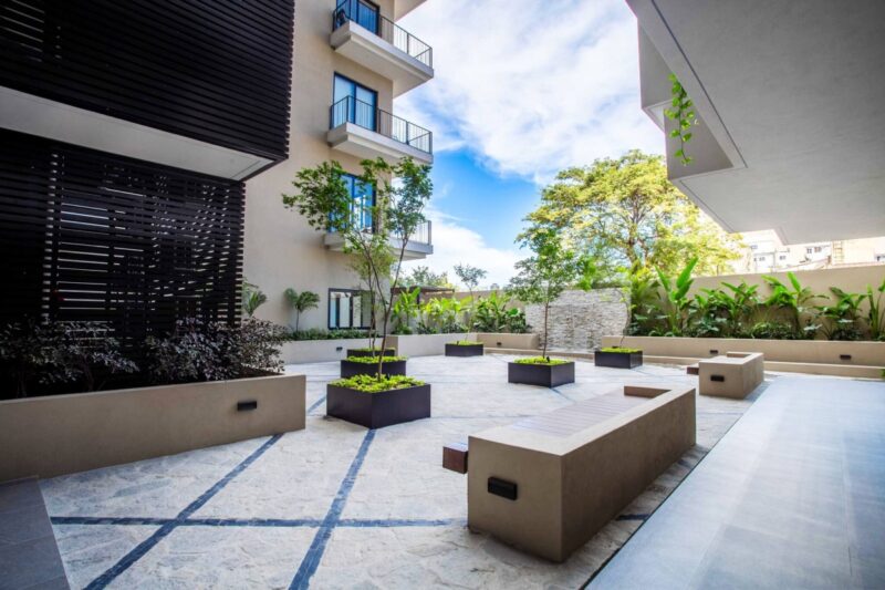 The Zen patio garden at Roma Encore