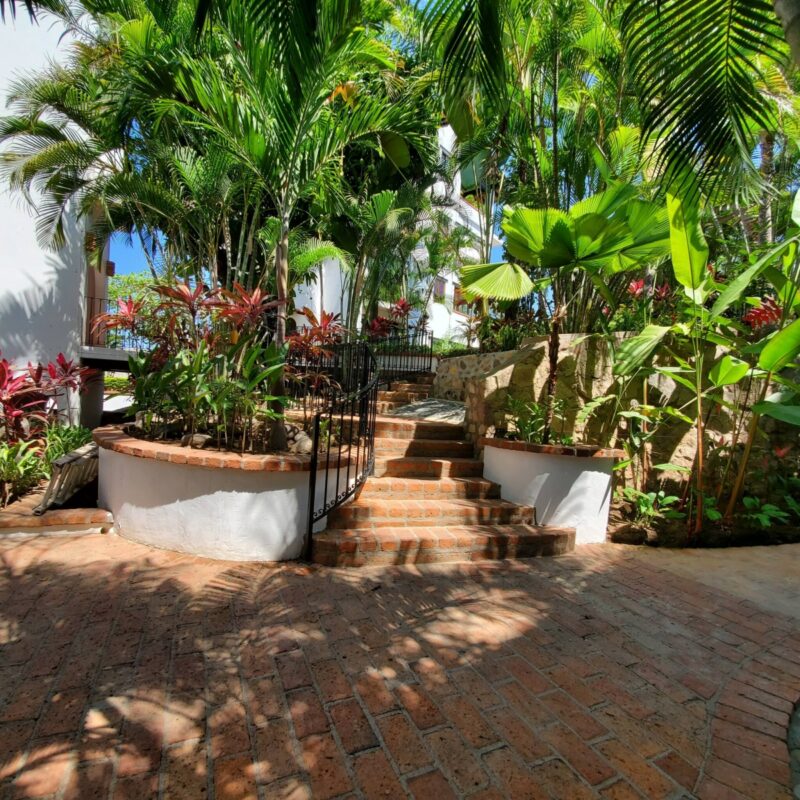 Garden paths through Selva Romantica